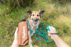 Trixie Easy Life Köpek Tracking Gezdirme Kayışı L–XL 10 Metre Okyanus Rengi - 3