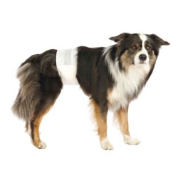 Trixie Erkek Köpek Pedi L-XL 12 Adet - 1