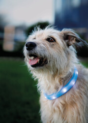 Trixie Işıklı Köpek Boyun Tasması L-XL Mavi - 2