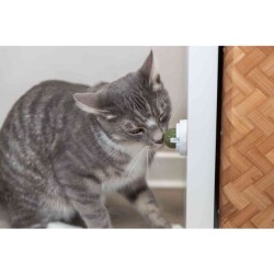 Trixie Kedi Nanesi Top Oyuncak 5 cm - 6