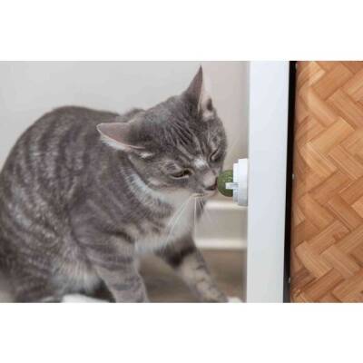 Trixie Kedi Nanesi Top Oyuncak 5 cm - 6