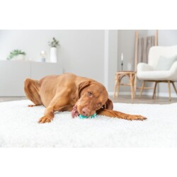 Trixie Köpek Diş Bakım Topu 15 cm - 2