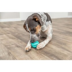 Trixie Köpek Diş Bakım Topu 5 cm - 2