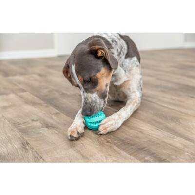 Trixie Köpek Diş Bakım Topu 5 cm - 2
