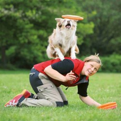 Trixie Köpek Eğitim Frizbi Diski Oyuncağı 23 cm Çeşitli Renklerde - 3