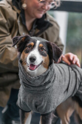 Trixie Köpek Havlu Bornoz Large Gri - 5