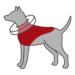 Trixie Köpek Koruyucu Şişme Yakalık S–M Mavi - 4