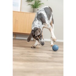 Trixie Köpek Ödüllü Top Oyuncak 11 cm Pembe - 5