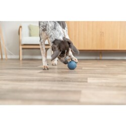 Trixie Köpek Ödüllü Top Oyuncak 11 cm Pembe - 4