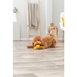Trixie Köpek Ses Çıkaran Ördek Oyuncak 18 cm - 3