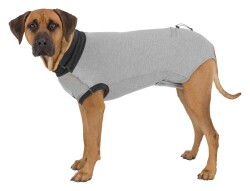 Trixie Köpek Koruyucu Vücut Tulumu M-L Gri - Trixie
